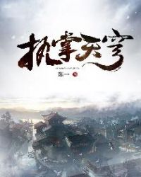 执掌天穹封面