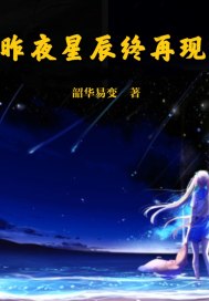 昨夜星辰终再现封面