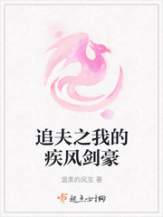 追夫之我的疾风剑豪封面