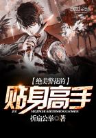 绝美警花的贴身高手封面