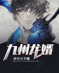 九州龙婿封面
