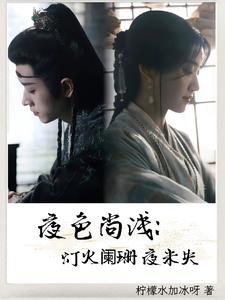 夜色尚浅：灯火阑珊夜未央封面