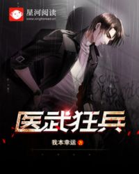 医武狂兵封面