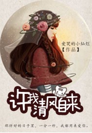 许我清风自来封面