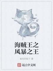 海贼王之风暴之王封面