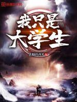 我只是大学生封面