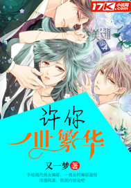 许你一世的繁华封面
