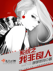 系统之我非良人封面