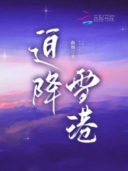 迫降雪港封面