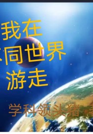 我在不同世界游走封面