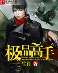 极品高手封面