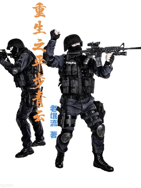 重生之平步青云封面