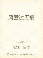 风雪过无痕封面