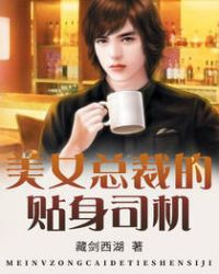 美女总裁的贴身司机封面