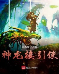 神龙接引使封面