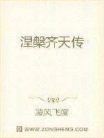 涅槃齐天传封面