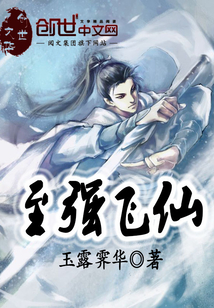 至强飞仙封面
