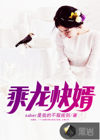 乘龙快婿封面