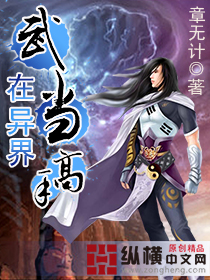 武当高手在异界封面