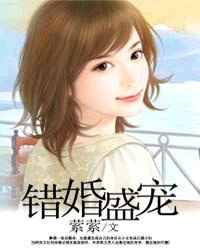 错婚柔情封面