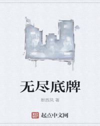 无尽底牌封面