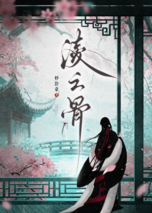 凌云骨封面