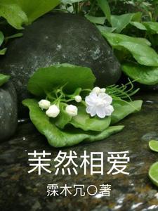 茉然相爱封面