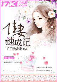 佳妻速成记封面