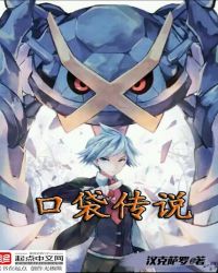 口袋传说封面