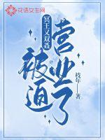 冥王她又双叒被迫营业了封面