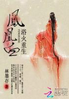 凤凰血之浴火重生封面