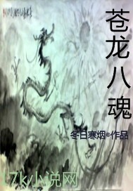 苍龙八魂封面