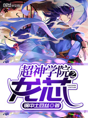 超神学院之龙芯封面