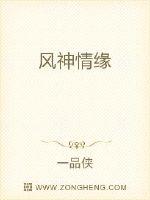 风神情缘封面