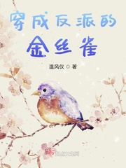 穿成反派的金丝雀封面
