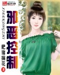 邪恶控制封面