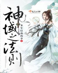 神域之法则封面