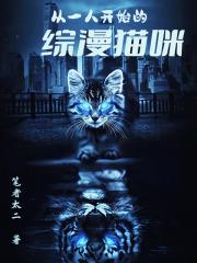 从一人开始的综漫猫咪封面