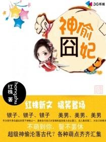 神偷囧妃封面