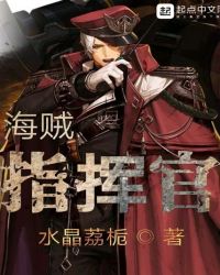 海贼指挥官封面