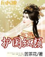 护国红颜封面