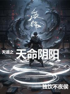 天道之天命阴阳封面