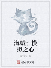 海贼：模拟之心封面