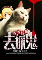 跟着贱猫去抓鬼封面