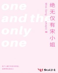 绝无仅有宋小姐封面