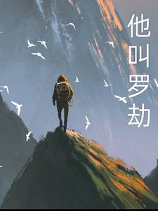 他叫小罗封面