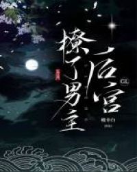 撩了男主后宫GL封面