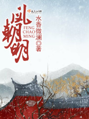 凤朝明封面