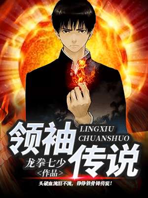 领袖传说封面