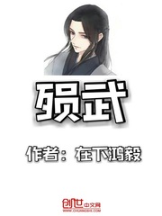 殒武封面